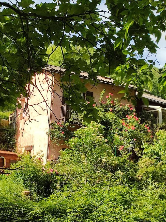 Bed and Breakfast Moulin Vieux La Bollène-Vésubie Exteriér fotografie