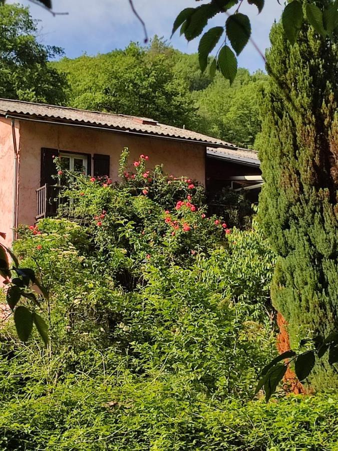 Bed and Breakfast Moulin Vieux La Bollène-Vésubie Exteriér fotografie